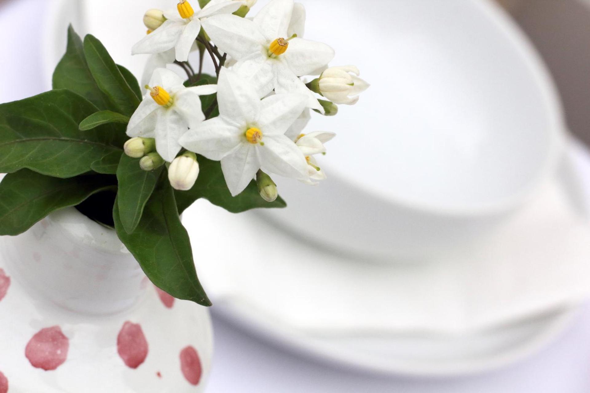 Bed & Breakfast Pietra Pesara