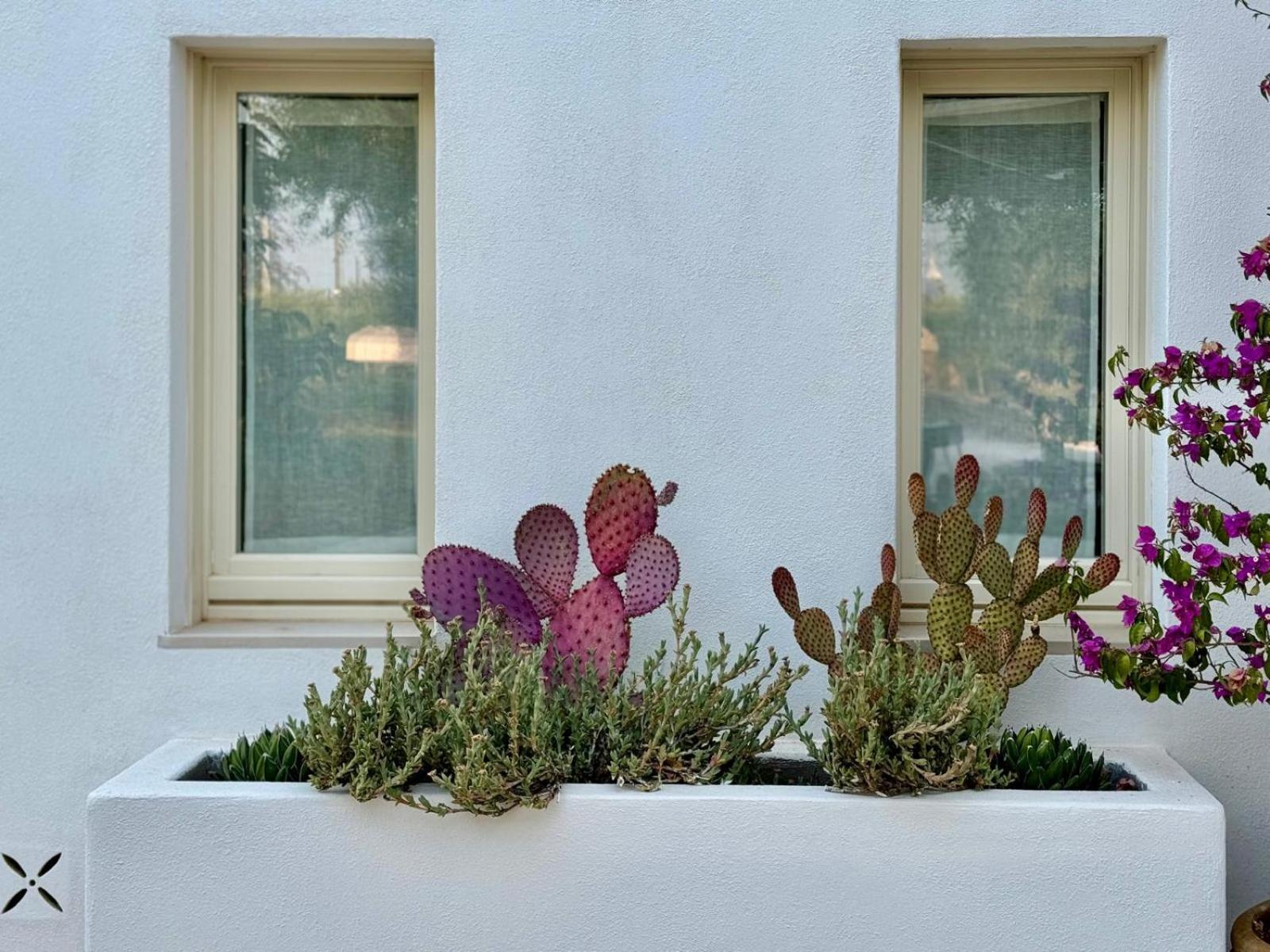 Pietra Pesara Bed & Breakfast Locorotondo