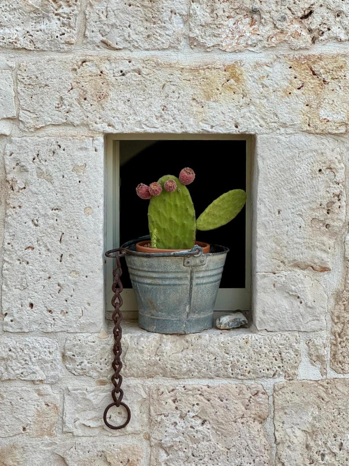 Pietra Pesara Locorotondo